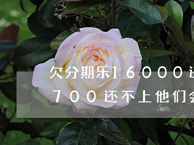 欠分期乐16000还不上怎么办(分期乐欠700还不上,他们会怎样处理)