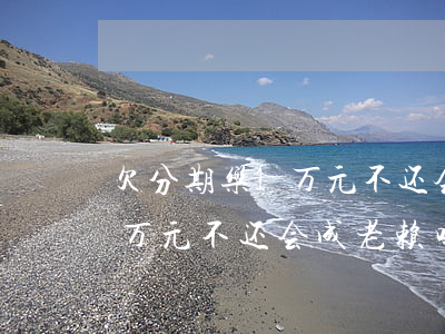 欠分期乐1万元不还会成老赖吗(欠分期乐1万元不还会成老赖吗)
