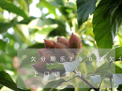欠分期乐2500(欠分期乐的钱不还,会有人上门调查吗)