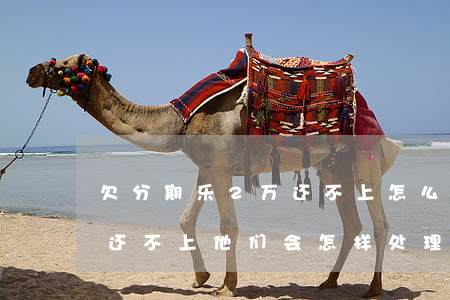 欠分期乐2万还不上怎么办(分期乐欠700还不上,他们会怎样处理)