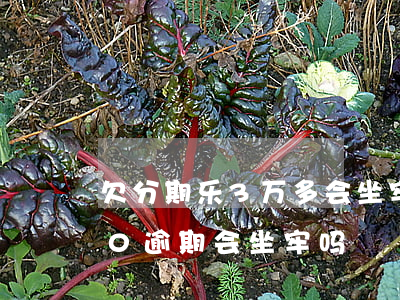 欠分期乐3万多会坐牢吗(乐分期欠30000逾期会坐牢吗?)