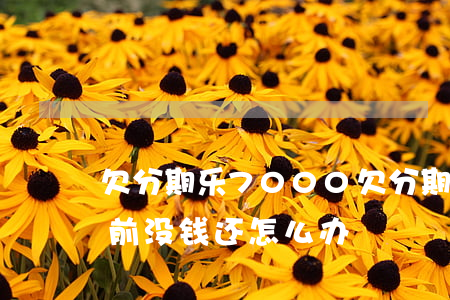 欠分期乐7000(欠分期乐7000块钱目前没钱还怎么办?)