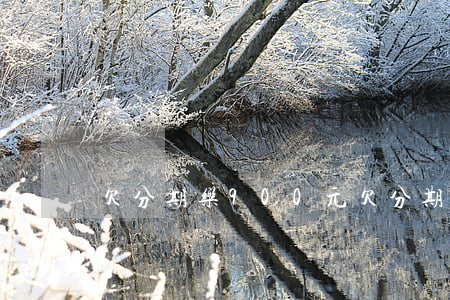 欠分期乐900元(欠分期乐900元)