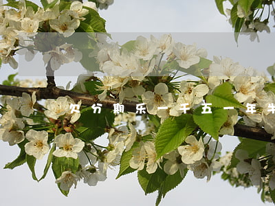欠分期乐一千五一年半不还会怎样
