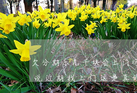 欠分期乐几千块会上门吗(欠分期乐3000说近期找上门这是真的吗)