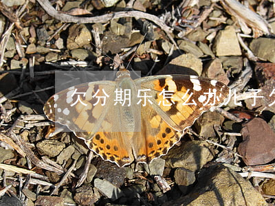 欠分期乐怎么办(儿子欠了分期乐怎么办)