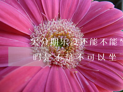 欠分期乐没还能不能坐飞机(分期乐上黑名单吗是不是不可以坐飞机)