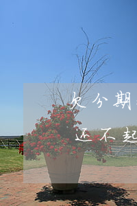 欠分期乐的钱可以协商只还本金吗-分期乐还不起可以协商分期吗