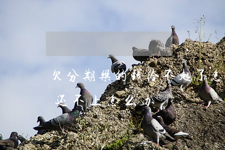 欠分期乐的钱给不起了怎么办(分期乐借的钱还不上怎么办)
