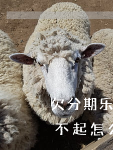 欠分期乐的钱还不上怎么协商还款(分期乐还不起怎么协商)