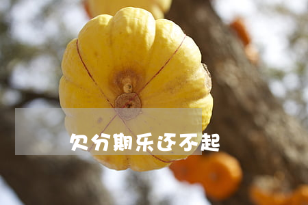 欠分期乐还不起
