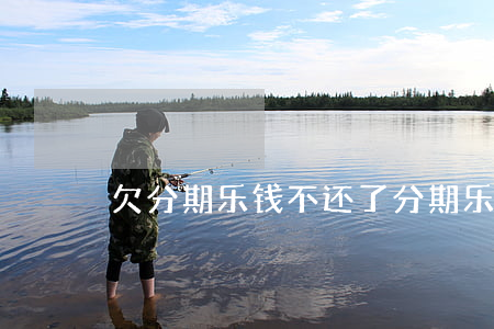 欠分期乐钱不还了(分期乐还不了钱怎么办)