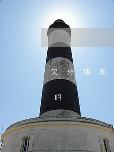 欠分期乐钱会上征信吗(分期乐借钱要上征信吗)