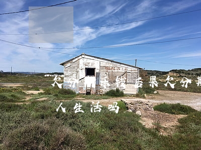 欠分期乐钱后果(欠分期乐钱没还会波及其家人生活吗)