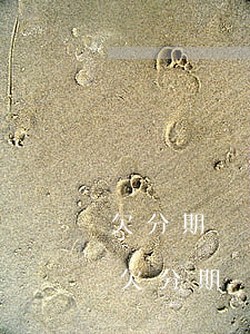 欠分期樂(lè)1000元不還怎么處理(欠分期樂(lè)1000元不還怎么處理)