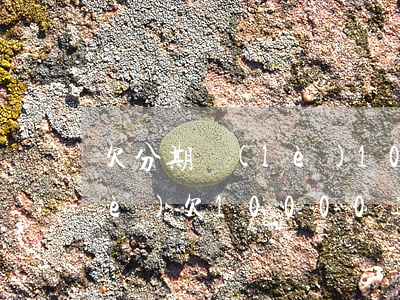 欠分期樂(lè)1000多天(分期樂(lè)欠10000逾期400多天要起訴我)