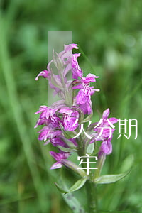 欠分期樂(lè)9000會(huì)坐牢嗎