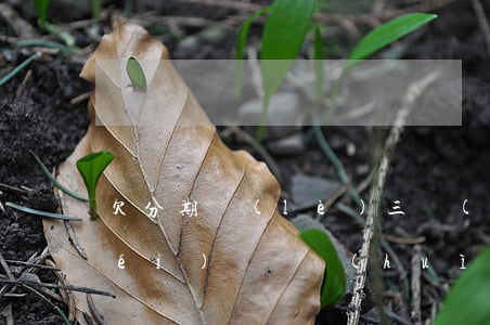 欠分期樂(lè)三個(gè)月都沒(méi)錢還會(huì)怎么樣(分期樂(lè)欠了3000塊兩年沒(méi)還會(huì)怎么樣)