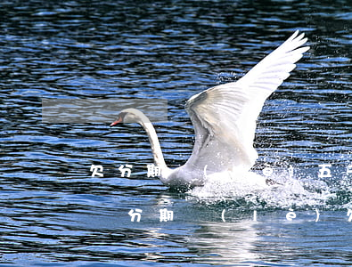 欠分期樂(lè)五千不還會(huì)怎樣(分期樂(lè)欠幾千塊錢一年沒(méi)還了會(huì)怎么樣)