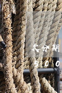 欠分期樂(lè)五百塊(分期樂(lè)1500)