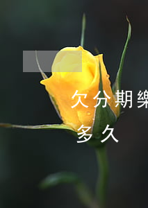 欠分期樂(lè)兩年了(欠分期樂(lè)多久)