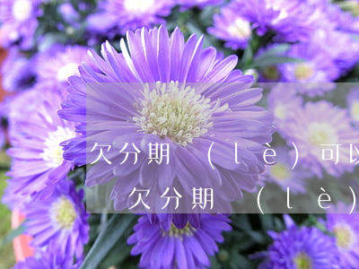 欠分期樂(lè)可以去當(dāng)兵嗎(欠分期樂(lè)可以上去當(dāng)兵嗎?)