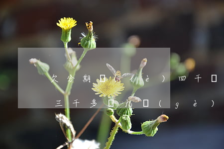 欠分期樂(lè)四千塊(分期樂(lè)欠三千多塊九個(gè)月沒(méi)還收到信息說(shuō)要走訪)