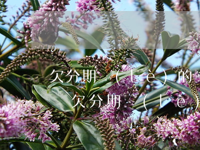 欠分期樂(lè)的錢不還會(huì)怎樣(欠分期樂(lè)的錢不還會(huì)不會(huì)被起訴)