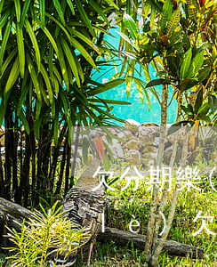 欠分期樂(lè)貸款不還的后果(分期樂(lè)欠款2萬(wàn)還不起了有什么后果)