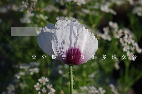 欠分期樂100多塊(欠分期樂100多塊)
