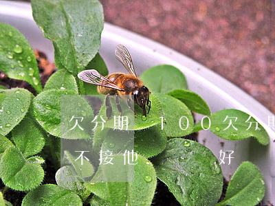 欠分期樂100(欠分期樂10000多可以不接他們電話好嗎)