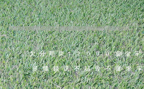 欠分期樂12000會坐牢嗎(欠分期樂一萬多塊錢,還不起會不會坐牢嗎)