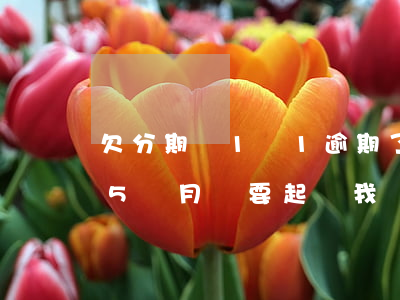 欠分期樂1萬1逾期了(分期樂欠款1萬逾期5個月 說要起訴我)