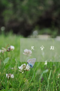 欠分期樂20000嚴重嗎(欠分期樂200親身經(jīng)歷)