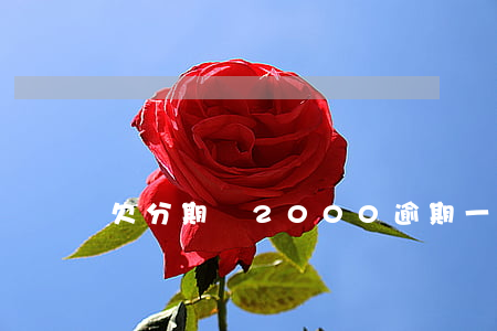 欠分期樂2000逾期一年(分期樂1500)