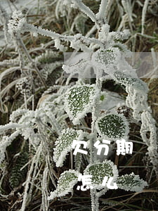 欠分期樂3500還不上(分期樂實在還不上怎么辦)