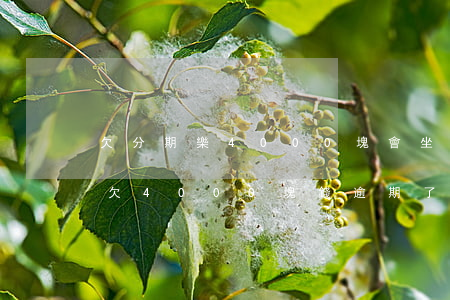 欠分期樂4000塊會坐牢嗎沒還-分期樂欠4000塊錢逾期了會被起訴嗎