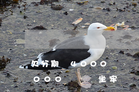 欠分期樂4000塊錢會坐牢嗎(欠分期樂4000塊錢會坐牢嗎)