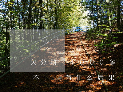 欠分期樂4000多會怎樣(分期樂4000不還會有什么后果)
