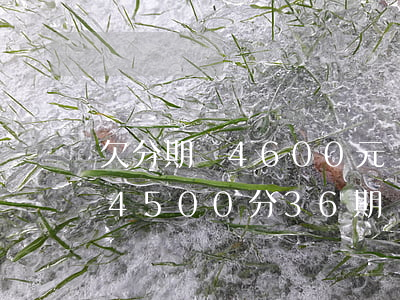 欠分期樂4600元錢分36期還-分期樂4500分36期