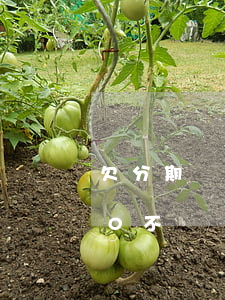 欠分期樂5000會上門嗎(分期樂欠5000不還會怎么樣,會被判刑嗎)