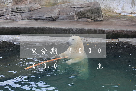 欠分期樂5000沒還會坐牢嗎-分期樂5000沒還會怎樣