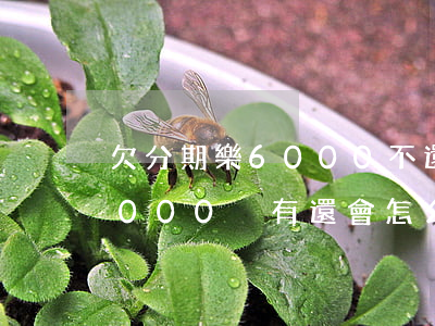 欠分期樂6000不還會怎么樣(分期樂15000沒有還會怎么樣)