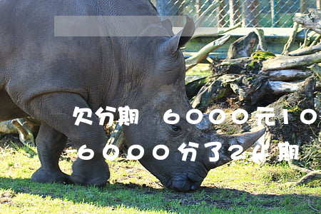 欠分期樂6000元100多天(分期樂借了6000分了24期)