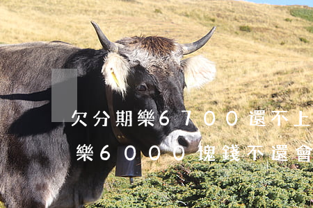 欠分期樂6700還不上怎么辦-欠了分期樂6000塊錢不還會有什么后果???