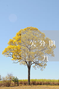 欠分期樂900塊錢天天催(分期樂欠三千多塊九個月沒還收到信息說要走訪)
