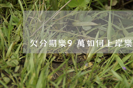 欠分期樂9萬如何上岸(樂分期欠款一萬多)