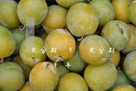 欠分期樂9萬(欠分期樂親身經(jīng)歷19年)