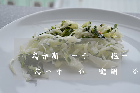 欠分期樂一千塊錢拖一個月會怎樣-分期樂欠一千會不會逾期會不會被起訴