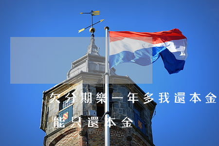 欠分期樂一年多我還本金可以嗎(分期樂怎么能只還本金)